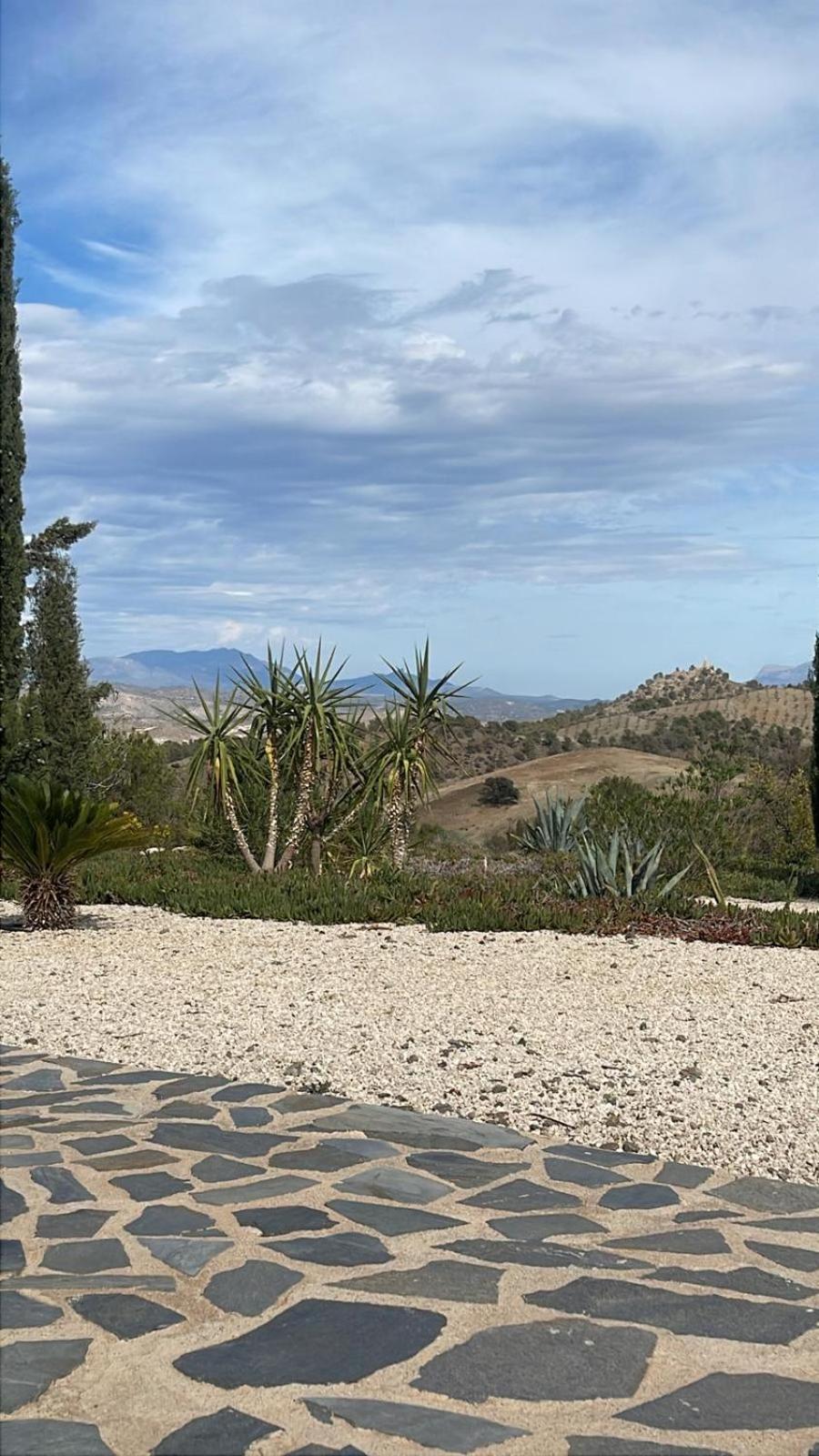 Casa Lamberdina Bed & Breakfast Fuensanta  Eksteriør bilde